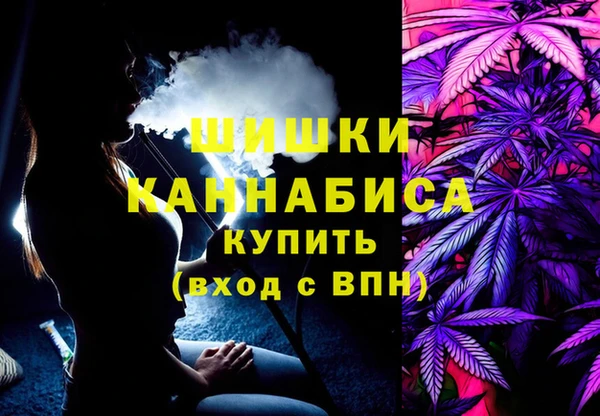 МДПВ Навашино