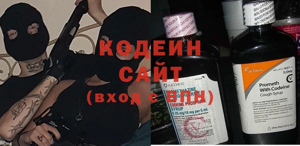 ПСИЛОЦИБИНОВЫЕ ГРИБЫ Вязники