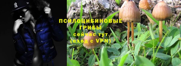 МДПВ Навашино