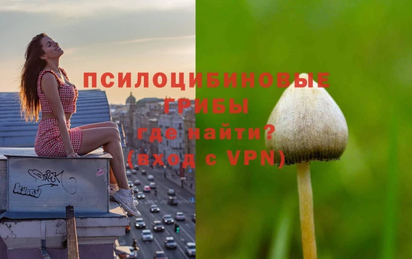 синтетический гашиш Надым