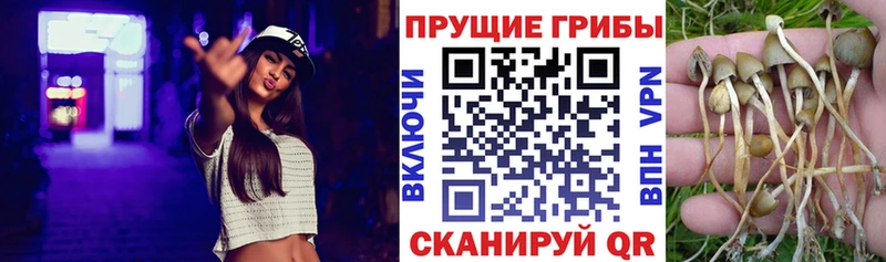 Галлюциногенные грибы мицелий как найти Алупка